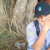 Sandi Canesti