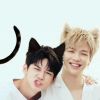 รักนะค่ะ คนดีของฉัน