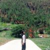 noviaay