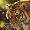 Vijay