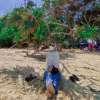 Thiti Novidia