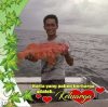 Ardi Zema