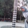Hadis Anuar Tanjung