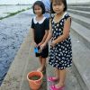 พิมผกา กันนิยม
