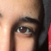 blqsbkhr