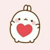 hae.shin