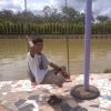 Arman Saputra