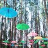 Wadsolina Elga