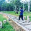 Arief Ashadye