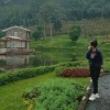 mernianita
