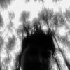 Dhiyaaul M.B.S