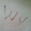 Law12345678