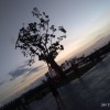 jaeinn