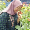 ainnurnazihah