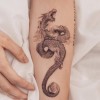 Robertsh Mei