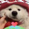 Nammon_