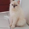 Siti Masturoh