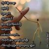 Monmon