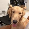 八级大狂风