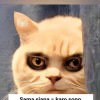hilmi dwi