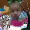 Ayah Shofi