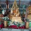 ฉวีวรรณ วงษสุวรรณ