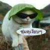 ต๋ย ทับสุริย์