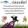 ศรราม พิมพ์ลอย