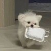 ぉゔぇまいん