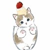 余芯睿
