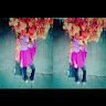 Hana fani s