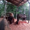 Aryo Tedjo Koesumo
