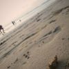 Imam Agus Faizal