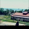 Ciciwa