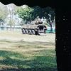 Mat Sentul Lan