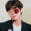 안니사