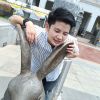 Aom Ford Fiesta