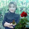 နော် ဖဝ်ွဆင်ထီွ