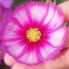 lovely 
