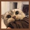 Chikyah87