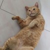ชื่อ อะไรไม่รู้