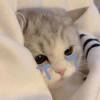 น้อนข้าวฟ่าง ค้าบบ