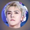 엑 소의 사랑