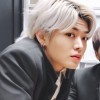 Bucinya Yuta 