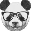 Kool Muzone