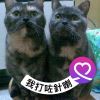 Pw Chan