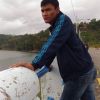 Ambon Osboron Ajja