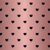 kydkmj8991