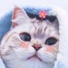 123