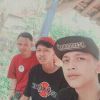 Vied Nolep
